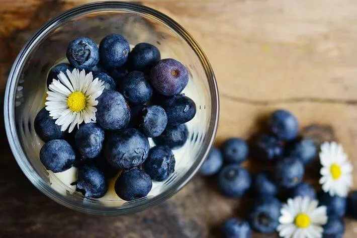 blueberries-2278921_960_72000000