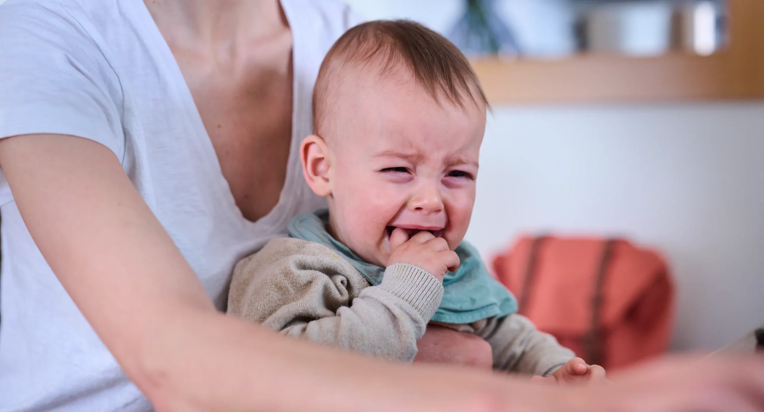 6 month old feeding schedule