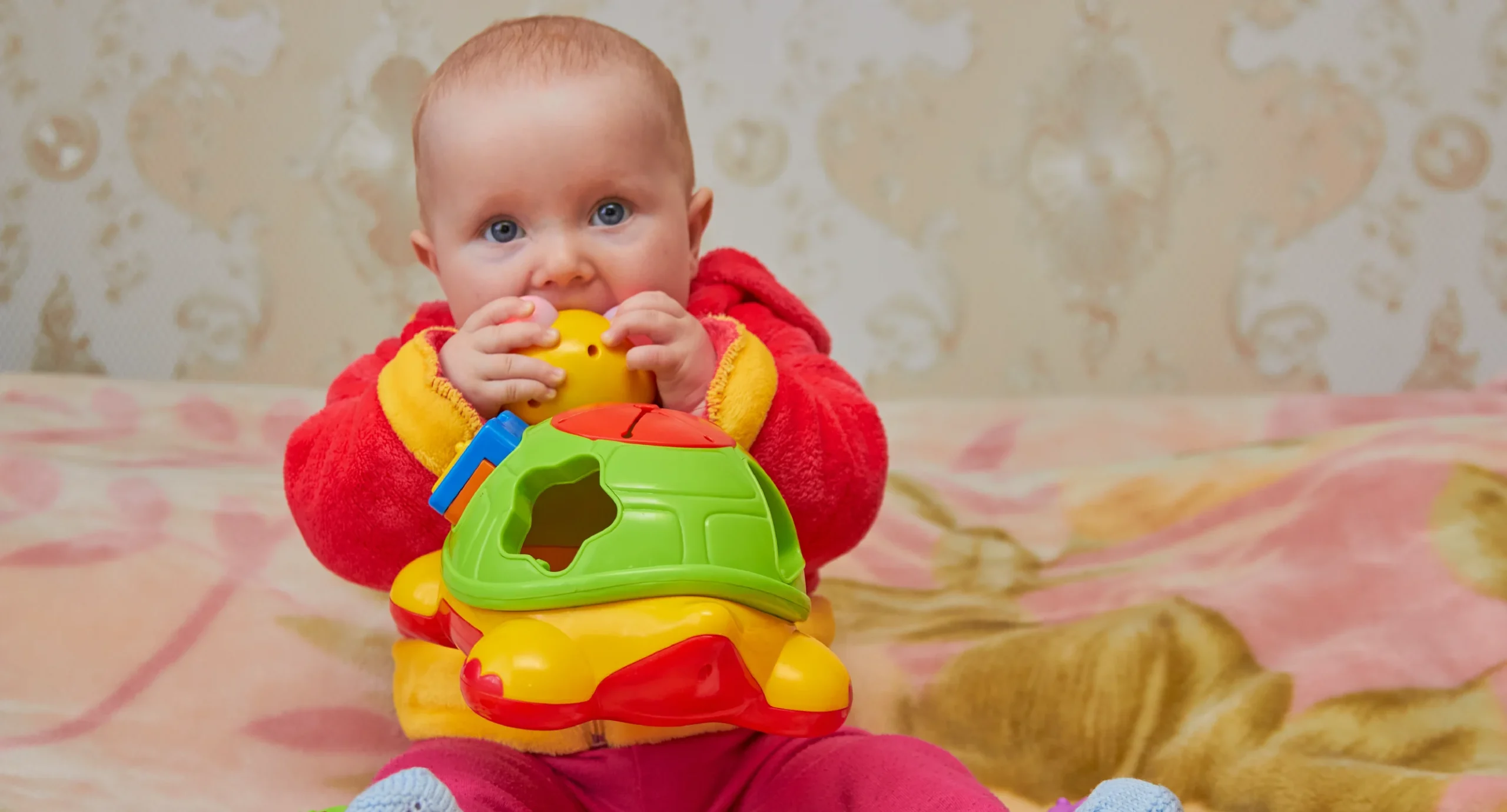 6 month old feeding schedule