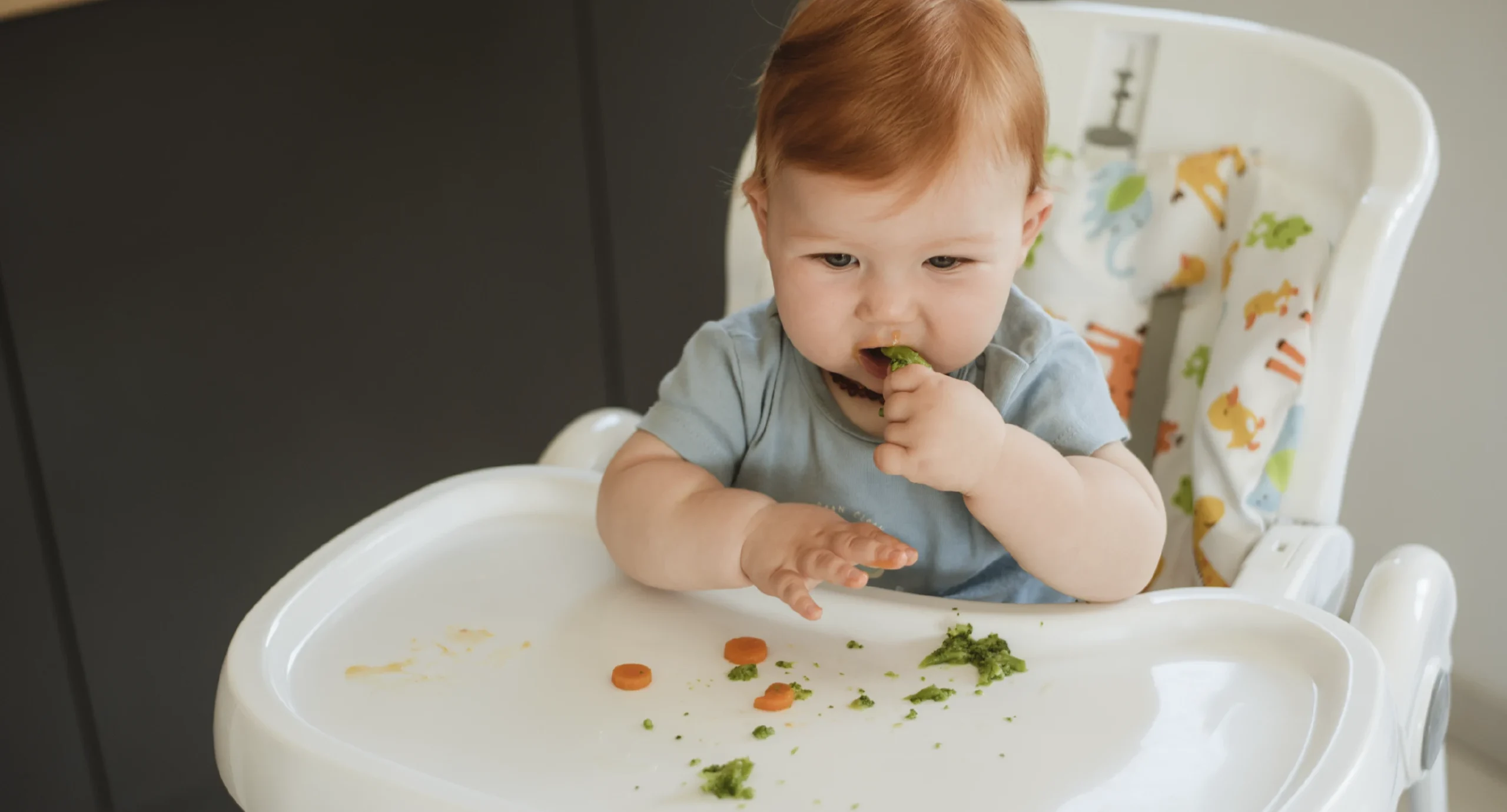 baby sitting in high chair eating finger food such as soft cooked butter nut squash, with parent watching